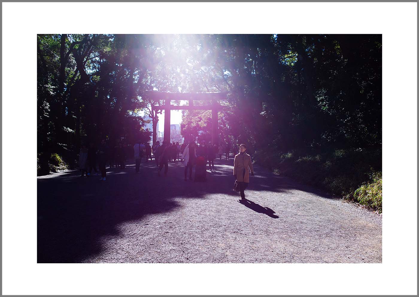 Stepping in Meiji Jingu