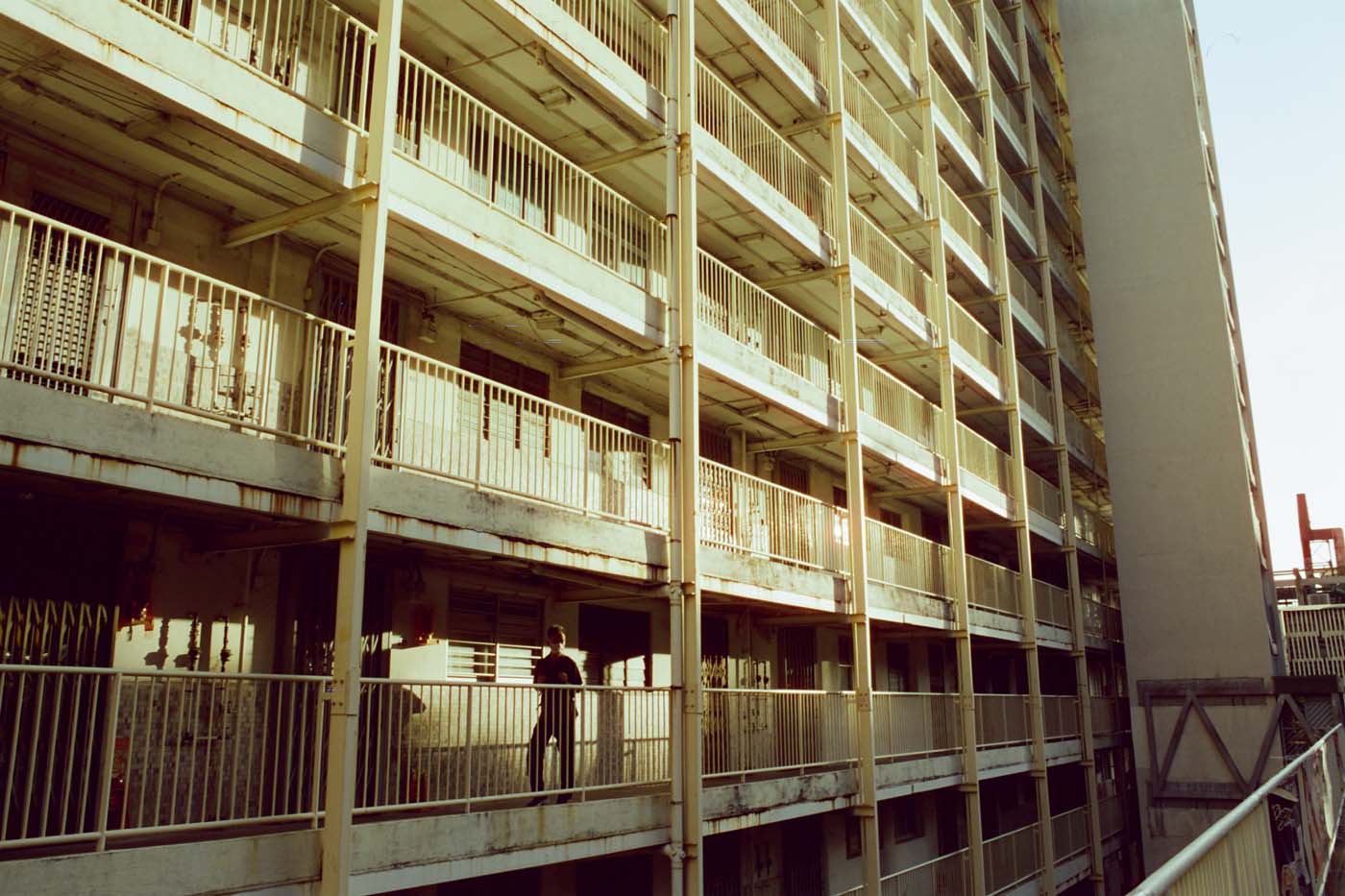 Reflx Lab 100D Daylight 35mm Colour Negative Film (C-41)