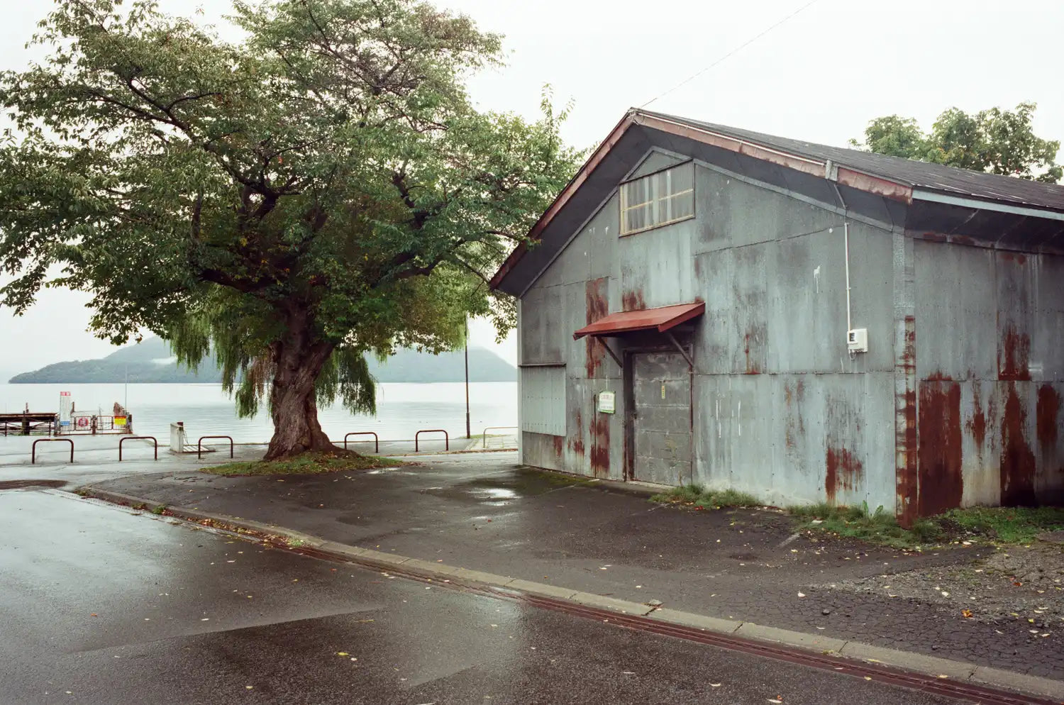 Reflx Lab 320D AHU 35mm Color Negative Film
