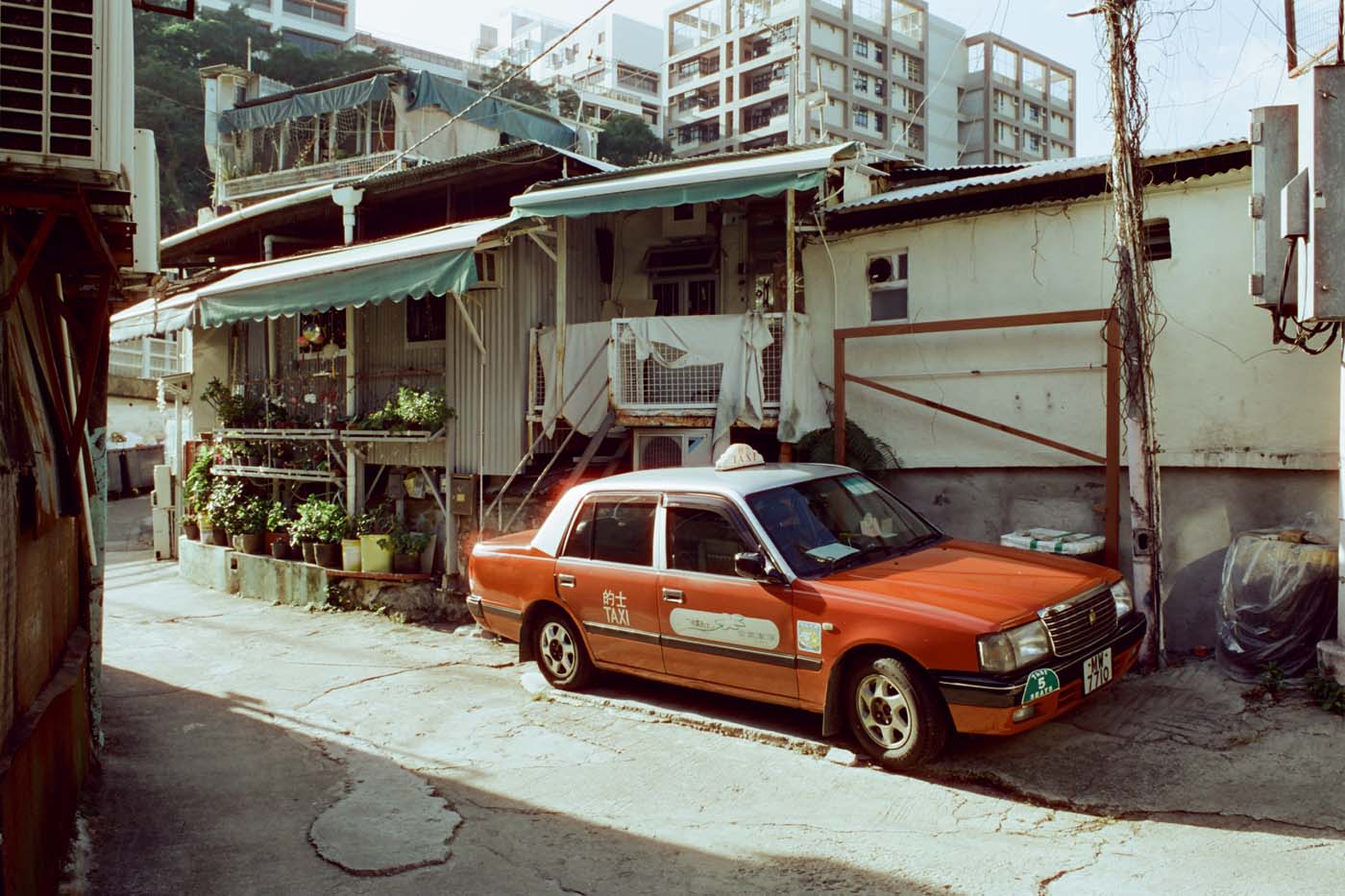 analog-film-review-reflx-lab-100D-iso-100-stock-motion-picture-5203-kodak-vision3-type-character-colour-negative-cinestill-50D-difference-halation-red-tint-glow