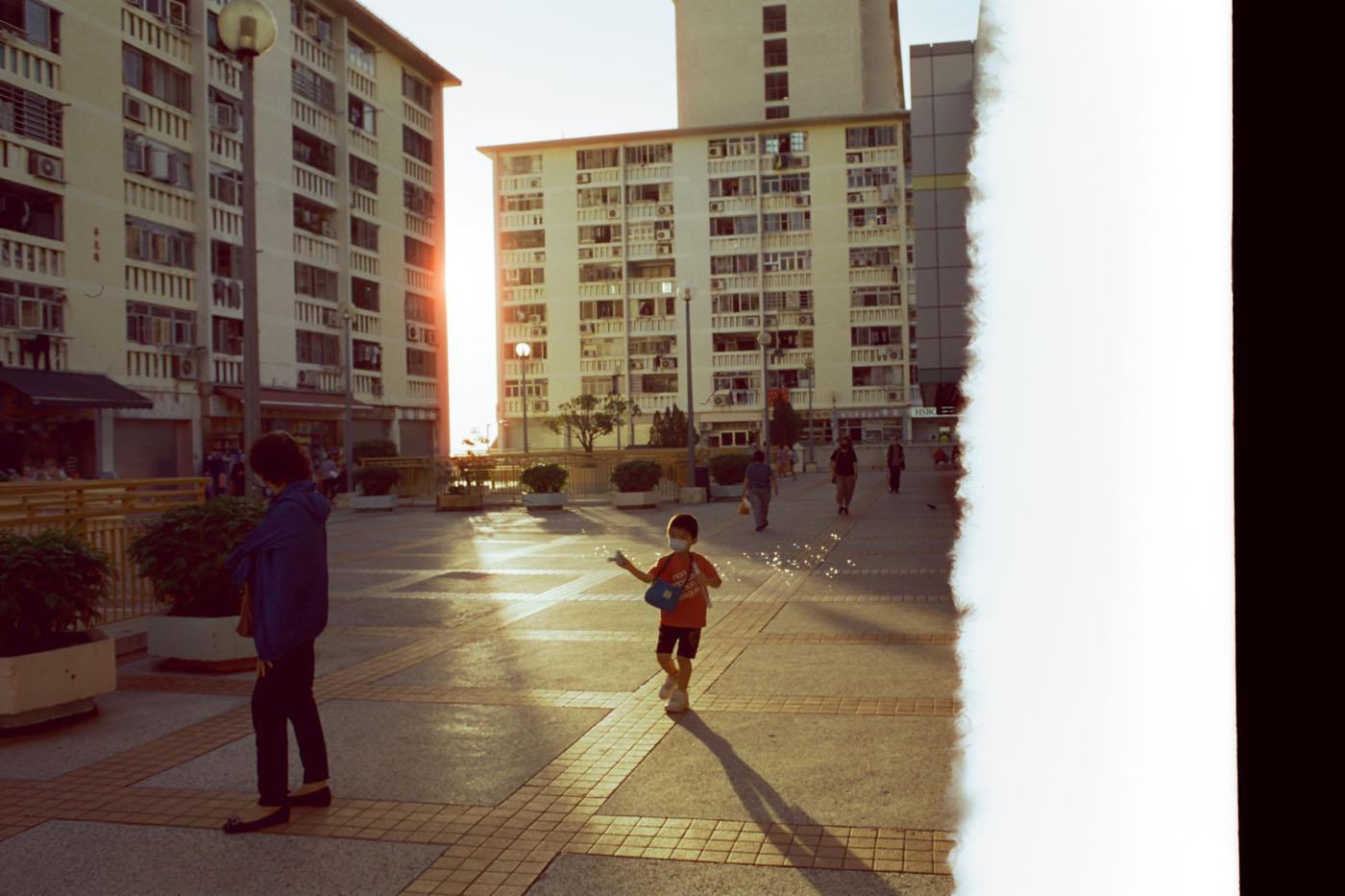 analog-film-review-reflx-lab-100D-iso-100-stock-motion-picture-5203-kodak-vision3-type-character-colour-negative-cinestill-50D-halo-wahfu-estate-nikon-28mm-ais