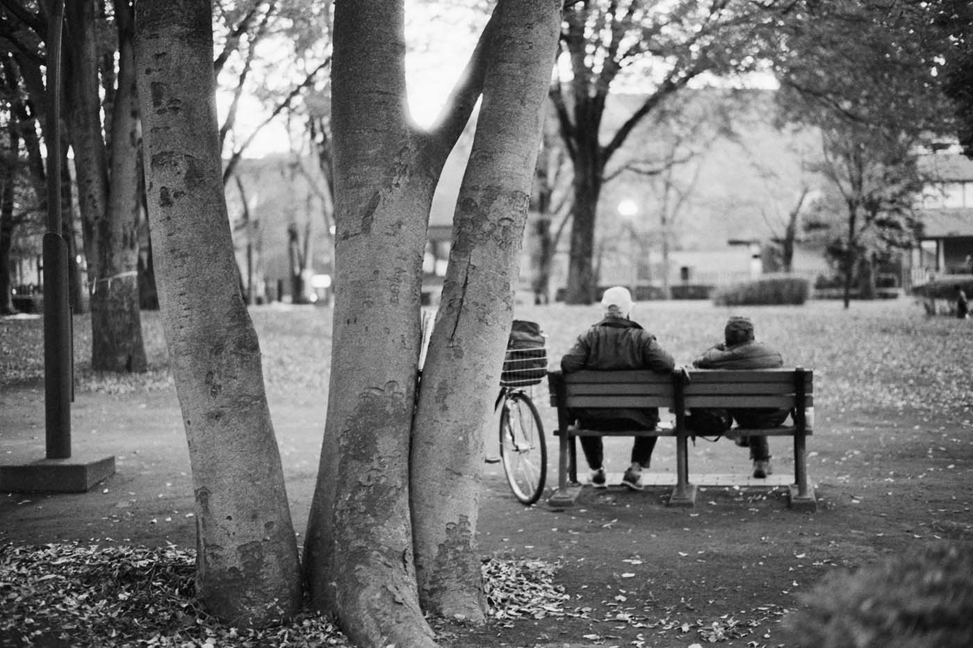 hitchcock-film-135-buy-online-kodak-double-x-xx-250-iso-negative-film-bw-black-and-white-movie-cine-brand-eastman-5222-72222-motion-picture-35mm-sample-2_a28fd6c7-8fa6-42da-8ec8-30e758f0e74b